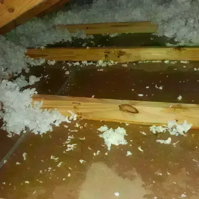 Attic Water Damage in Reidsville, GA