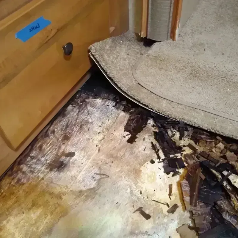 Best Wood Floor Water Damage Service in Reidsville, GA